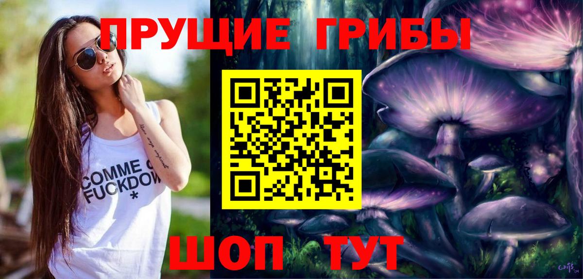Галлюциногенные грибы Cubensis Сунжа