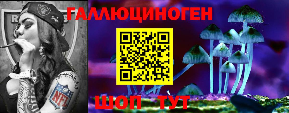 Сунжа  дарнет шоп  Вход с VPN  Псилоцибиновые грибы GOLDEN TEACHER 